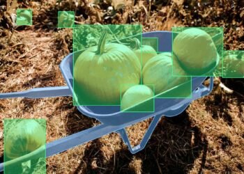 AI Powered Agriculture Tools Help Farmers Predict Crop Yield