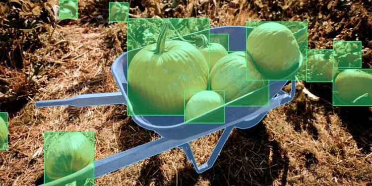 AI Powered Agriculture Tools Help Farmers Predict Crop Yield