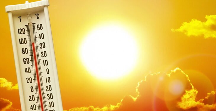 Heatwave Alert Issued for Maharashtra and Gujarat Regions