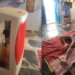 Desi Jugaad Cooler Using Plastic Bottles Goes Viral