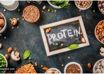 Alternative Protein Startups Gain Funding Momentum Across India