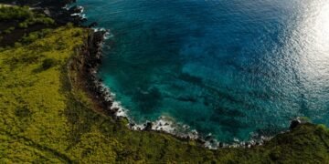 FareArena Reveals Top Last-Minute Flight Deals for Global Travelers