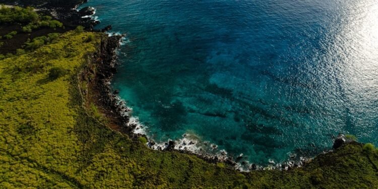 FareArena Reveals Top Last-Minute Flight Deals for Global Travelers