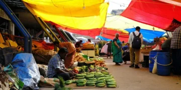 Why Small-Town Street Vendors Are Going Viral Online