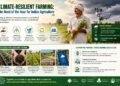 Sustainable Agriculture Can Secure the Future of India’s Farmers