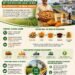 From Farm Gate to Global Shelf: Why Food Processing Can Be the Next Big Opportunity for Indian Farmers
