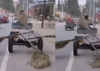 Why Everyday Indian Jugaad Videos Keep Going Viral Online