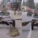 Why Everyday Indian Jugaad Videos Keep Going Viral Online