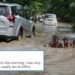 Delhi-NCR Rain Memes Turn Waterlogging Into Internet Jokes