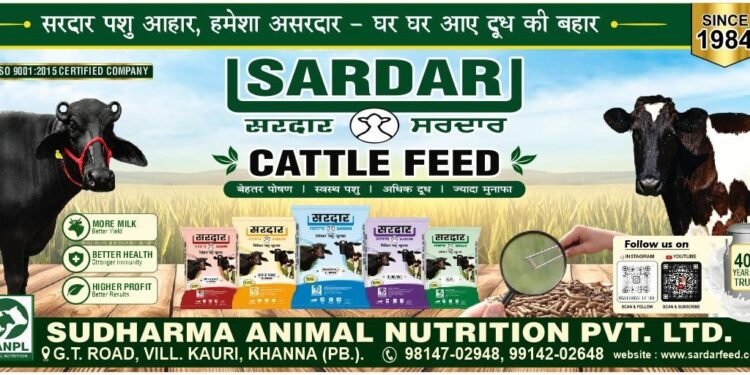 Choosing Sardar Cattle Feed and Understanding Cow Feed, Buffalo Feed and Dairy Animal Nutrition