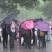 School Holiday September 3: Check Rain Closure Updates