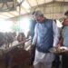 Where Gauseva Meets Automation: Sikkim Governor Shri Om Prakash Mathur Visits Moovana’s A2 Dairy Farm