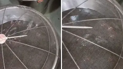 Rat Spotted in Gulab Jamun Syrup in Bhiwandi: What Happened?